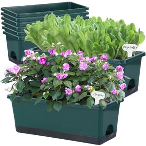 Window Box Planter 8 Pcs, 17 Inches Rectangle Flower Pots with Drainage Holes and Trays, Vegetable Planters for Windowsill Patio Garden Balcony Home Porch Yard Indoor Outdoor (Dark Green)