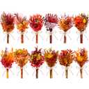 12PCS Fall Dried Flowers Bouquet for Vase Various Dried Wildflowers with Stems Mini Handmade Wildflowers Natural Real Flowers Bulk Flowers for Crafts DIY Wedding Decor (Fall,Burnt Orange)