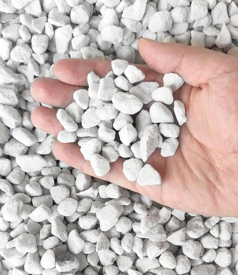 15 QT Professional Grade Horticultural Organic Perlite (15 QT, Large Size - Perlite)