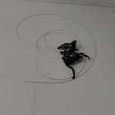 Shimano ST-EF51 3x7/8/21/24 Speed GEAR MTB Bike Shifter Lever Set Kit Fast Ship