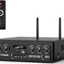 2 Channel Bluetooth Amplifier with 2 HiFi Speakers & Wireless Microphone System, 450W Stereo Audio Receiver with UHF Mics, Bass/Treble, FM, TWS, USB/TF  for Home Karaoke, Church, Meeting