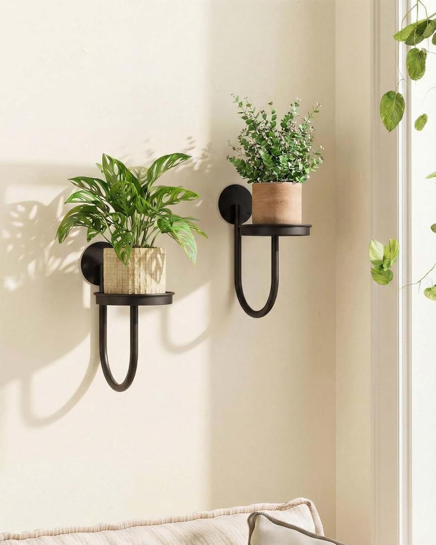 Leaf&lull Wall Plant Holder Planter with Wall Planters for Indoor Plants Plant Hanger Hanging Plant Holder Wall Hanging Decor 2 Pack Black