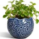 4 Inch Plant Pots - Small Ceramic Planter with Drainage Hole, Succulent Pots for Indoor Outdoor, Unique Round Planter, Modern Decorative Flower Pot, Desk Decor, Plant Lovers Gifts, Blue