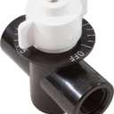Pentair R172086 1/2-Inch Control Valve Replacement Rainbow Automatic Chlorine/Bromine Pool and Spa Feeder