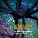 JOYIN 3 Pcs Halloween Spiders Outdoor Decoration, Halloween Decor Outside, 5 Ft Large Hairy Giant Multi Color Spider Set for Yard Lawn Porch Decor Indoor Haunted House Scary Prop (Black, Brown, Gray)