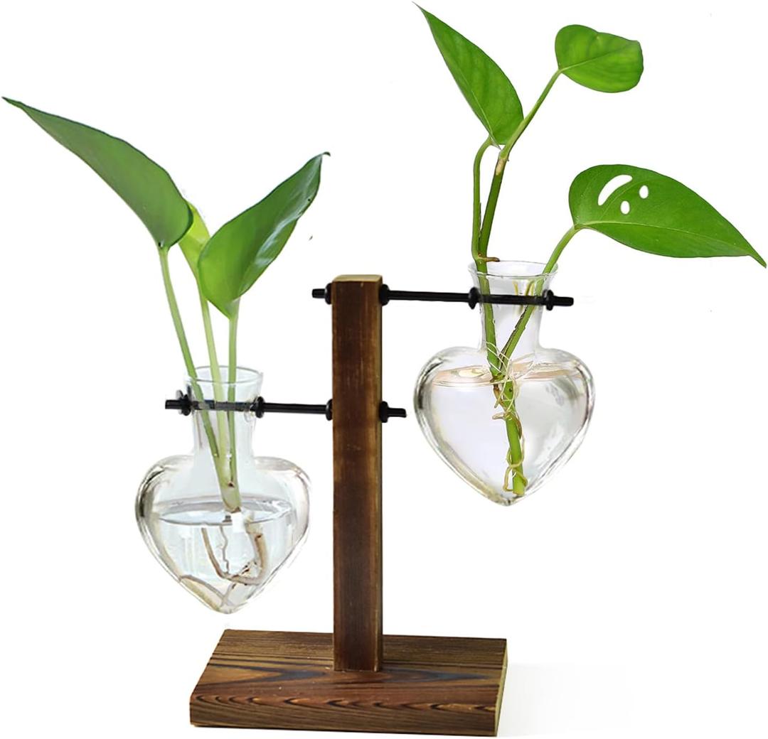 XXXFLOWER Plant Terrarium Wooden Stand 2 Love Bulb Vase+Glass Mushroom Propagation Planter