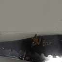 Shun Sora 8" Chef's Knife