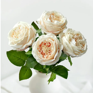 YalzoneMet 3.5'' Big Bloom Champagne Rose Artificial Flowers 4Pcs Real Touch Rose Faux 17.7Inch Long Stem Austen Roses Peonies Fake Flowers for Boho Home Kitchen Party Spring Flower Wedding Decor