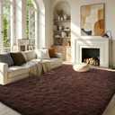 FinRèc Dark Brown Rugs for Bedroom Living Room, 4x6 Feet Fluffy Shaggy Area Rug, Non-Slip Soft Shag Rug for Nursery Kids Room Dorm Room Home Decor, Indoor Plush Floor Carpet