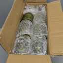 24 Pcs Plastic Goblets 7.5oz Vintage Goblet Plastic Glasses Colored Retro Embossed Water Goblets for Bar Juice Baby Shower Wedding Reception Grand Event Party (Olive Green)