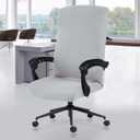 DIVA EN CAMINO DEC Stretch Computer Office Chair Cover with Durable Zipper - Universal Washable Removable Spandex Rotating Boss Chair Slipcovers - Anti-dust Soft Desk Chair Seat Protector for Pets (Light Gray)