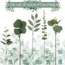 lovemoon 130 Pcs Artificial Mixed Eucalyptus Stems Bulk, 5 Kinds of Faux Greenery Eucalyptus Leaves Bulk for Vase Wedding DIY Bouquets Floral Arrangement Home Decor (130, Green)