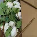 White Ranunculus Artificial Flowers,3PCS 18 Heads Faux Silk Ranunculus Flowers Long Stems Fake Peonies for Centerpieces Arrangements Wedding Party Home Decoration(White)