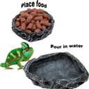 2 Pack Reptile Feeding Dish Corner Bowl, Reptile Water Dish Food Bowl Feeding Terrarium Bowls for Bearded Dragon Lizard Frog Gecko Tortoise Hermit Crab