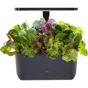 AeroGarden Harvest 2.0, Indoor Garden Hydroponic System with LED Grow Light, Holds up to 6 AeroGarden Pods, Charcoal