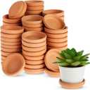 OKUNA 2 Inch Terracotta Plant Saucer Pots Tray - 20 pcs Mini Planter Saucers for Indoor & Outdoor Plants, Small Clay Trays Perfect for 1 Inch 1.5Inch Flower Pot