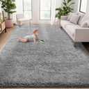 5x7 Area Rug for Living Room: Fluffy Shag Soft Washable Rugs Fuzzy Plush Indoor Carpet for Bedroom Nursery Playroom Dorm Kids Girls Boys Room (Dark Grey, 5'x7')