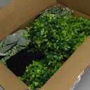 Yunsailing 100 Pcs Faux Eucalyptus Stems with White Seeds Artificial Eucalyptus Leaves Greenery Decor Fake Leaf Branches for Wedding Bouquets Centerpiece Flower Arrangement Farmhouse Home Decoration