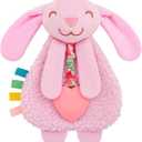Pro Goleem Baby Easter Basket Stuffers Bunny Loveys for Babies Girl and Boy, Baby Lovey with Teether, Baby Toys 0 3 6 9 12 Months, Safety Teething Toys for Babies Infant Newborn and Toddler Gifts