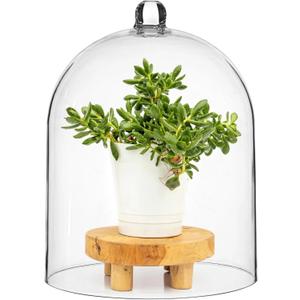 Transparent Acrylic Cloche, 1013" Thick Acrylic Dome, Large Display Cover, Dust-Proof Centerpiece Display Dome, Decorative Showcase Cover for Plants, Candles, Cakes