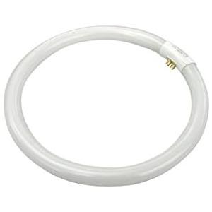 TCP 3203331K 33-watt T6 Circle Lamp, Only 3100-Kelvin