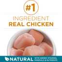 Purina ONE Natural Dry Cat Food, Tender Selects Blend With Real Chicken - 16 Lb. Bag (EXP 09/30/27)