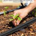 1/4" Drip Irrigation Tubing with 6" Emitter Spacing, (650 Ft Roll) Hydroponics Dripline with Built-in 0.5 GPH Dripper, Saving 80% Water, Drip Line for Greenhouses and Dense Planting Areas (Black)