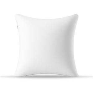 AM AEROMAX 16 16 Throw Pillow Memory Foam Pillow Insert - Square Accent Pillow for Decorative Cushion Bed Couch Sofa - Non-Deforming Over Time (White)