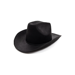 Costume Cowboy and Cowgirl Felt Hats