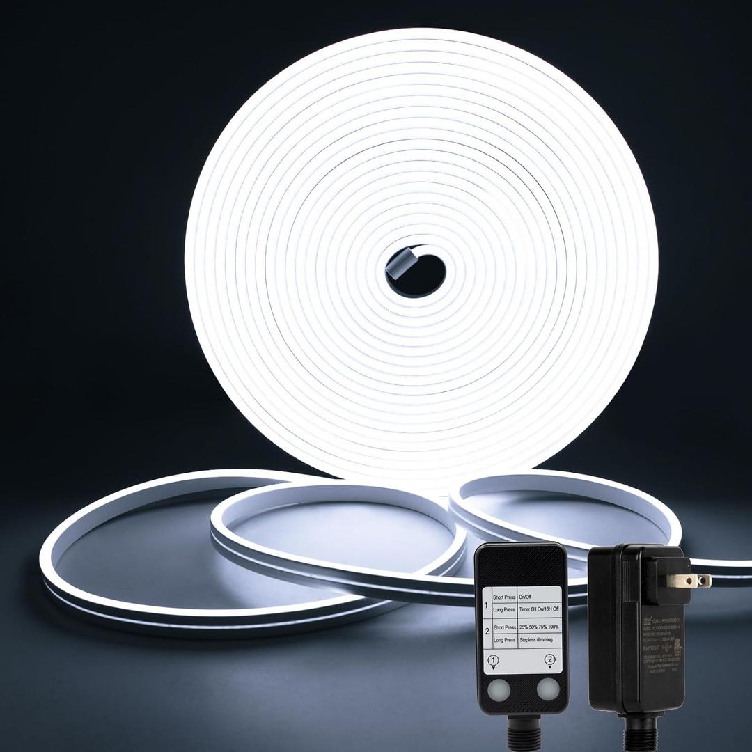 DBFAIRY 33Ft LED Neon Rope Lights, 24V Dimmable LED Strip Lights DIY Flexible Silicone Waterproof Neon Strip Lights for Bedroom Gaming Bedroom Outdoor Decor (Cool White)