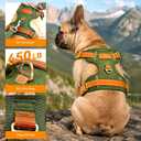 No-Pull Reflective Dog Harness with Handle Soft Padded Vest for Small Dogs Heavy Duty Adjustable Anti-Choke Pet Harness with Front & Back Clip Harness for Walking, Training (Green, XS)