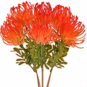 6 PCS Tropical Flowers Artificial UV Resistant Fake Plastic Protea Fake Spider Mum Flower Arrangement for Table Centerpieces Home Kitchen Office Indoor Outdoor Decor