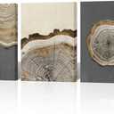 DuoBaorom Wood Tree Ring Canvas Wall Art Masculine Bathroom Decor Boho Wall Decor 12 x16 inches