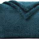Plush Fleece Throw Blanket for Couch and Bed, Fluffy Fuzzy Cozy Lightweight Soft Blankets All Season Use (40x50 Inches,Teal)