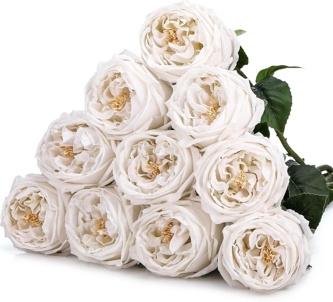 Daifunli 10pcs Real Lifelike Peonies Artificial Flowers, Faux Austin Rose with Long Stem Look Real Fake Flower for Christmas Valentines Arrangement Wedding Party Home Kitchen Decor(White)