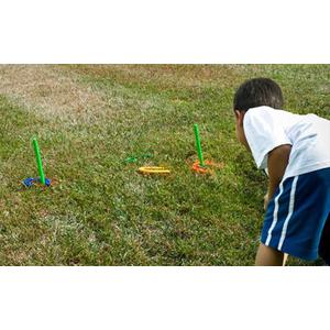 Plastic Horseshoe Game