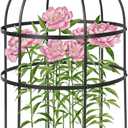 1 Pcs Jardin Bird Cage Plant Support 24" H Large Sturdy Grow-Through Flower Support Peony Cage Climbing Plant Support Trellis Sculptural Garden Decor for Perennial Flowers (Black)