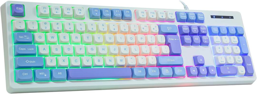 HUO JI Wired Gaming Keyboard with Rainbow LED Backlit, Floating Keys, Mechanical Feeling, Spill Resistant, Ergonomic Full Size for Xbox, PS Series, Desktop, Computer, PC (White Blue)
