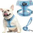 PUPTECK Soft Mesh Dog Harness and Leash Set Pet Puppy Cat Comfort Padded Vest No Pull Harnesses, Light Blue, M (M (NECK: 14", CHEST: 17"-21"))