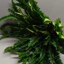 50" Artificial Boston Ferns, Fake Bush Plants, Large Faux Ferns with 96 Fronds for Outdoors Home Decor (50" 1 Pcs)