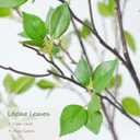 Bellacat 5ft Artificial Minimalist Citrus Tree with Lifelike Leaves, 60in Faux Citrus Tree with Realistic Trunks, Faux Tree Indoor Outdoor for Home Office Living Room Bedroom Porch Decor.