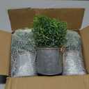 Mkono Small Fake Plants in Farmhouse Galvanized Metal Pots 3 Pack Potted Artificial Plant Eucalyptus for Laundry Room Bathroom Shelf Table Decor (Grey)