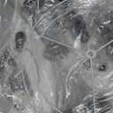 Rinweey Crystal Glass Table Lamp with USB C+A Ports & AC Outlet, White Clear Modern Bedroom Lamp,Silver Lamp for Living Room, Nightstand Lamp LED Bulbs Included, Single Silver