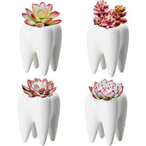 YOFIT Modern Style Teeth Pots Ceramic Flower Pot for Dental Gifts, White Succulent Cactus Bonsai Planter Container for Dental Office Decor, 3.7" Set of 4