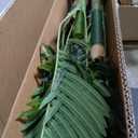 Keeplush 5ft Tall Triple Golden Cane Palm Artificial Tree Large Tropical Palm Tree UV Resistant Fake Plant in Pot for Indoor Outdoor Big House Living Room Outside Patio Office Home Decor 1Pack
