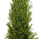 KuGuo Artificial Grass Decoration Strip Indoor/Outdoor DIY Fake Grass (Buffalo Grass, Width 2" x Length 80")