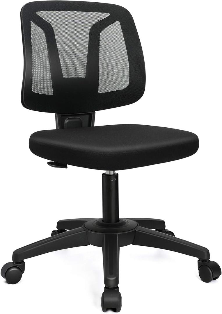 VigorPow Armless Mesh Office Chair Ergonomic Swivel Black Small Computer Desk Chair No Arms with Lumbar Support Height Adjustable Task Chair for Adults and Kids VigorPow Armless Mesh Office Chair Ergonomic Swivel Black Small Computer Desk Chair No Arms with Lumbar Support Height Adjustable Task Chair for Adults and Kids