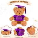Zhanmai 3 Pcs 2026 Graduation Gift Set Include Graduation Plush Bears Inspirational Compass Necklace with Box for Preschool Kindergarten Primary College High School Party Favors (Purple)