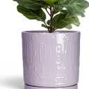 Eightpot Ceramic Plant Pots, 12 Inch Pots for Plants Indoor Outdoor, Round Planter with Drainage Hole and Tray, Modern Decorative Flower Pot, Home Apartment Decor, House Warming Gifts, Purple