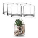 WHOLE HOUSEWARES | 4"X4" Glass Cylinder Vase | Candle Holder | Decorative Centerpiece Arrangement for Wedding Party Event Home Office Decor | Set of 6